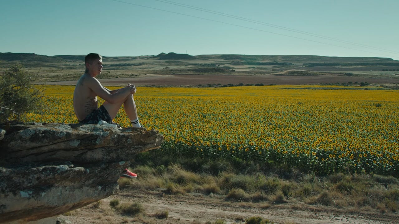 A rider overlooking a field in a frame from Grip